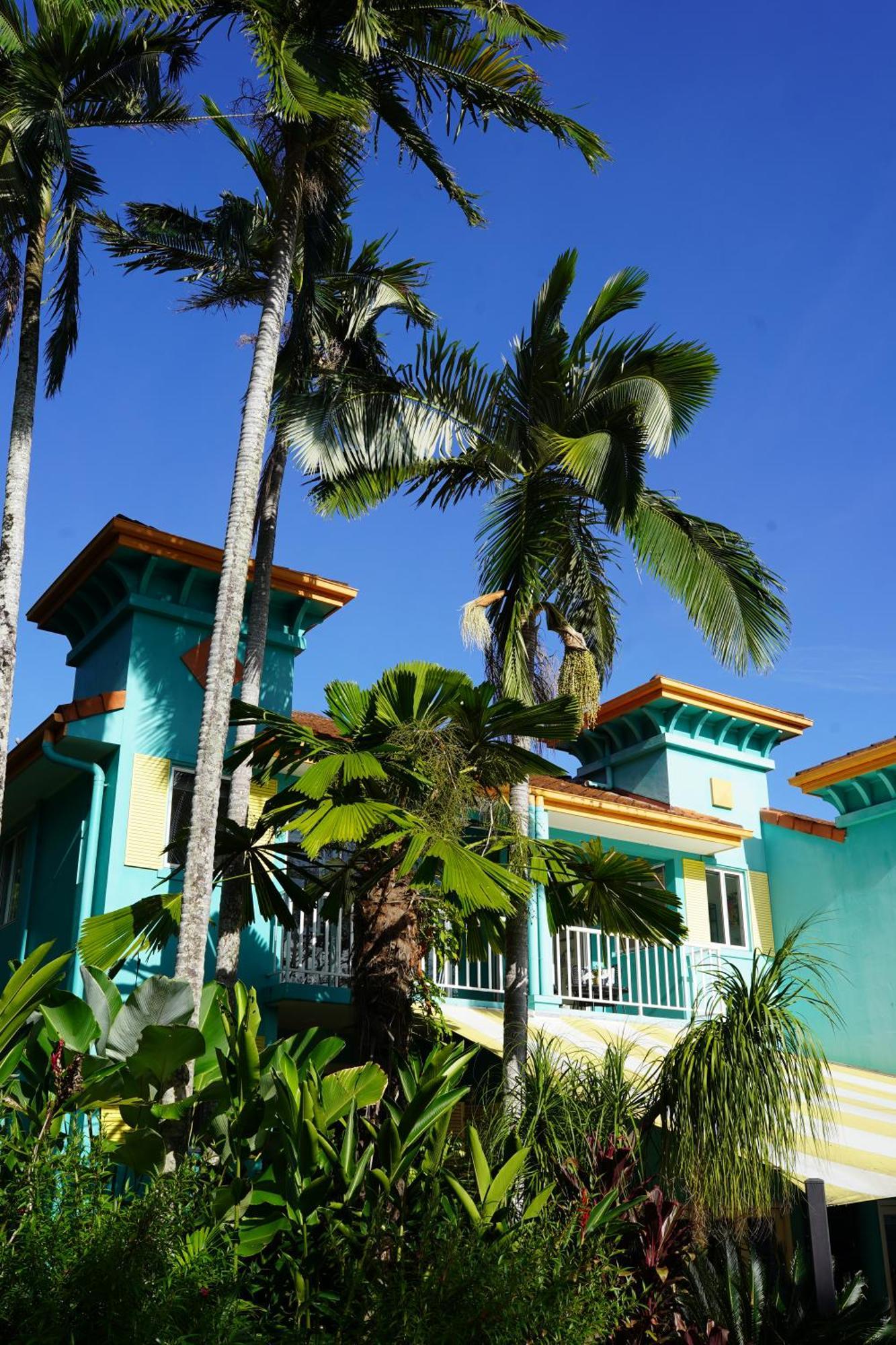 Casa Papaya Adults Only Apartment Port Douglas Esterno foto